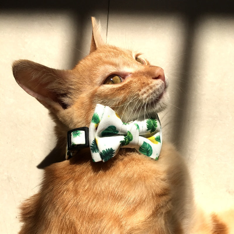 Fun Fruits Bow Tie Cat Collar