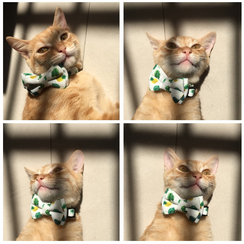 Fun Fruits Bow Tie Cat Collar