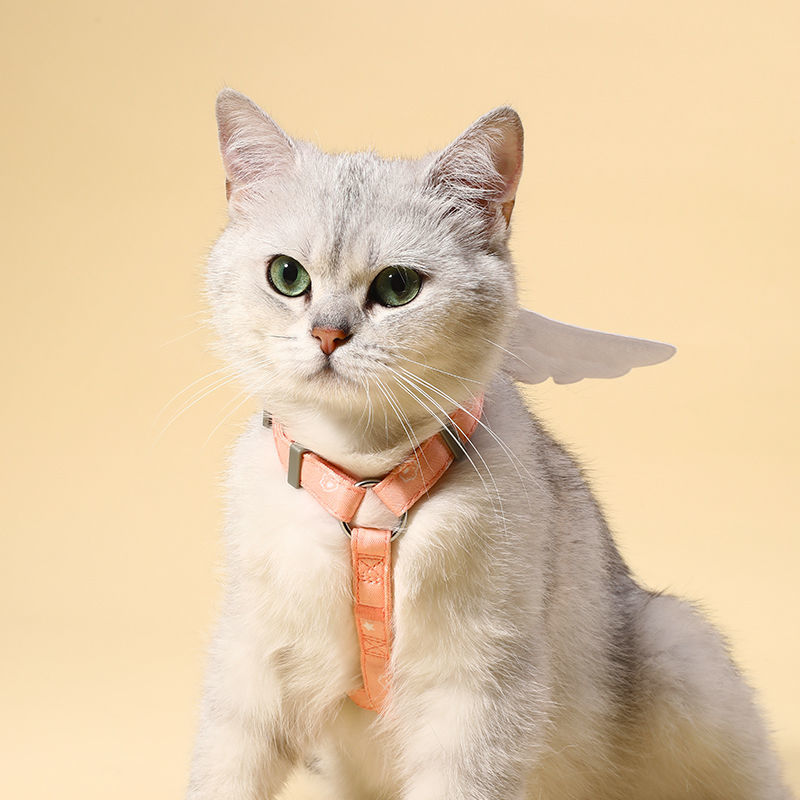 Sweet Angel Wing Cat Harness and Leash Set