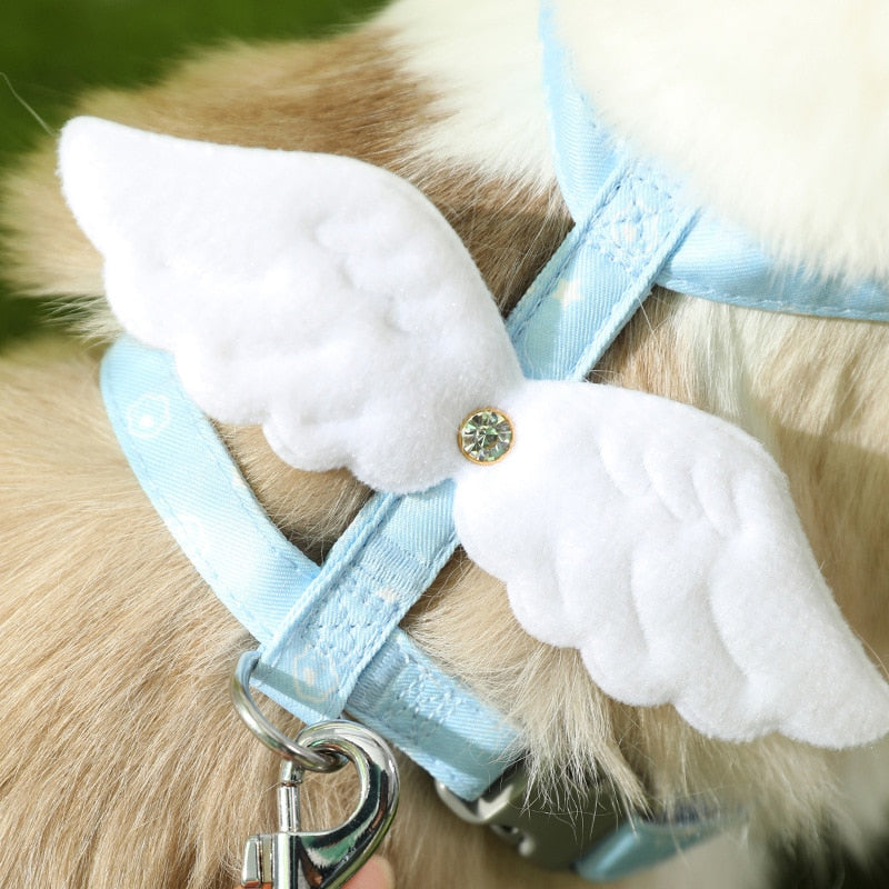 Sweet Angel Wing Cat Harness and Leash Set