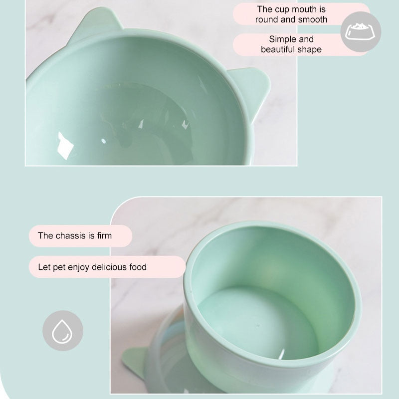 Pet Food and Water Bowl Raised and Tilted for Neck Protection and Spinal Alignment in Cats