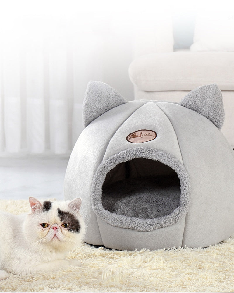 Cat cove outlet bed